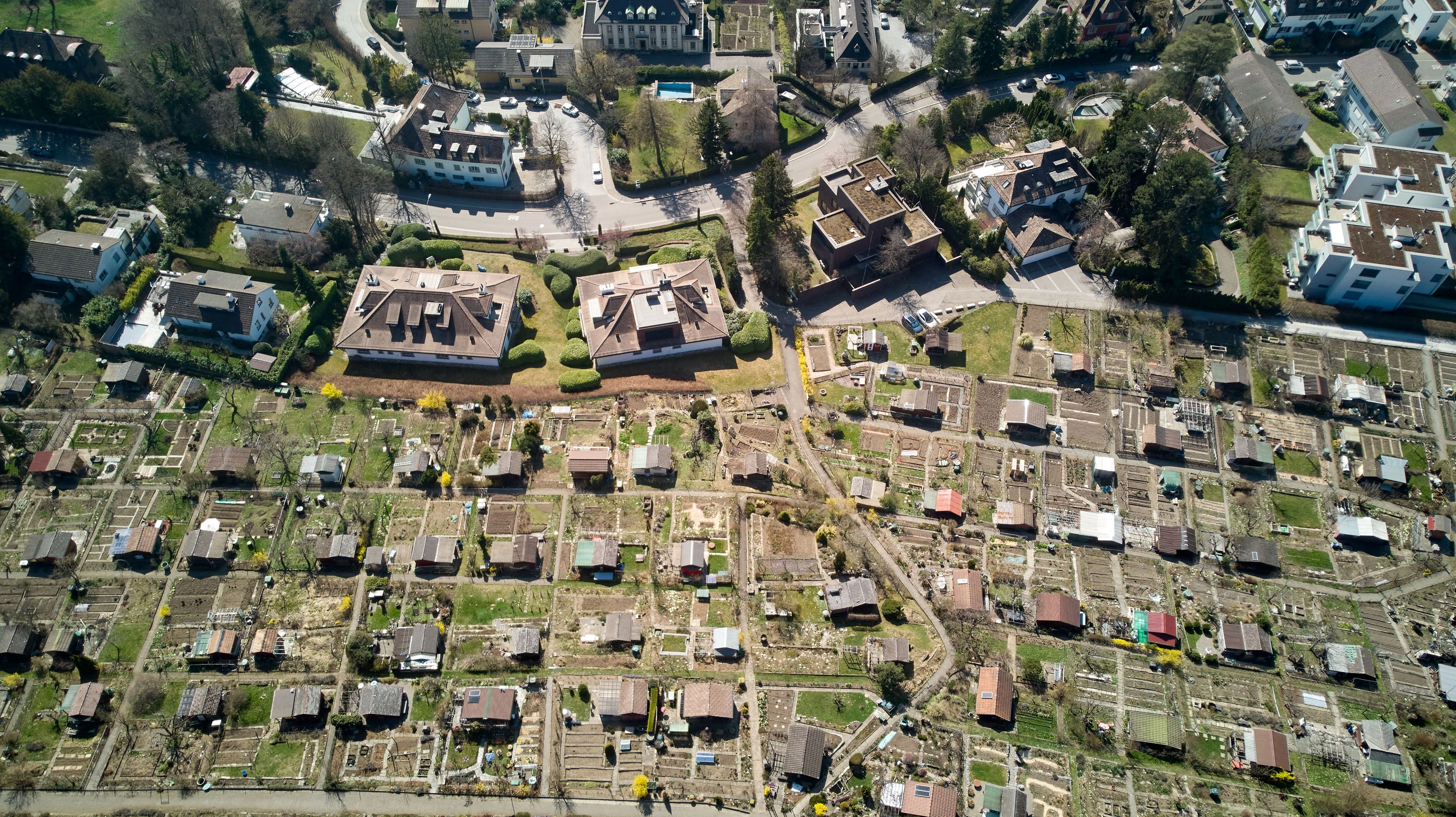 Luftbild einer Kleingartenanlage zwischen Wohnbebauung